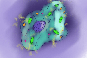 cell energy