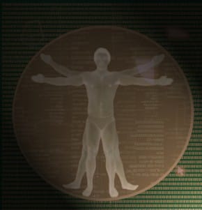 davinci-vitruvian