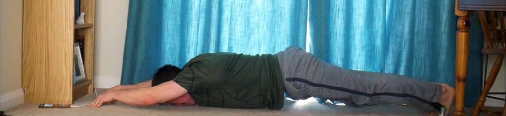 Lelanne pushup