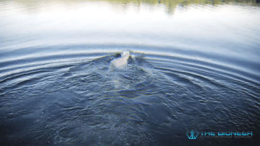 Fascia hydration