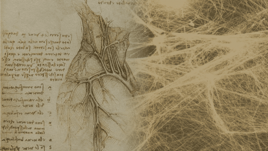 Davinci Fascia