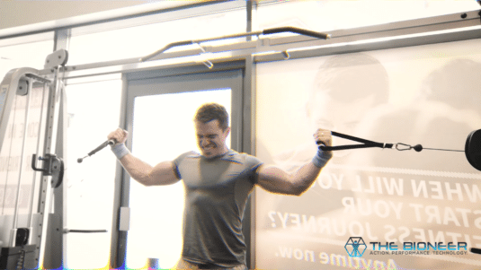 muscle fascia connects entire body
