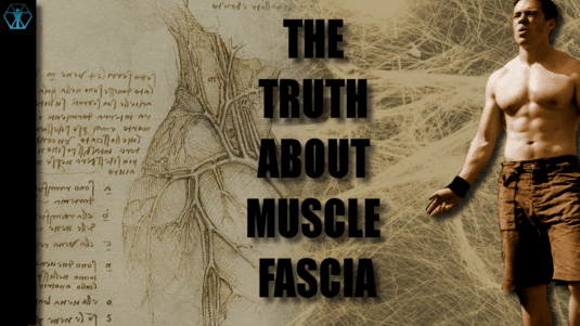 the truth about muscle fascia