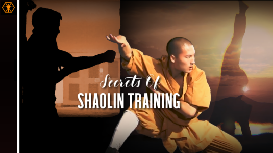 Shaolin Training Secrets