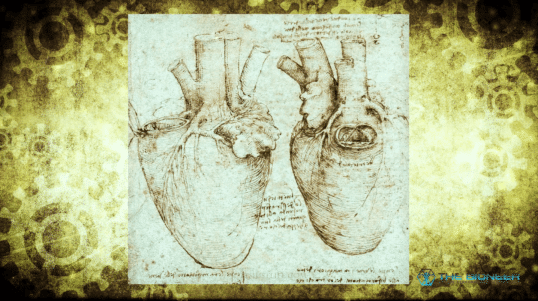 Leonardo Da Vinci Heart