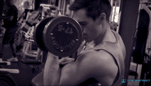 Bicep Curls Batman Training