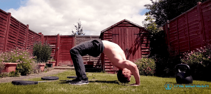 Crab flexibility