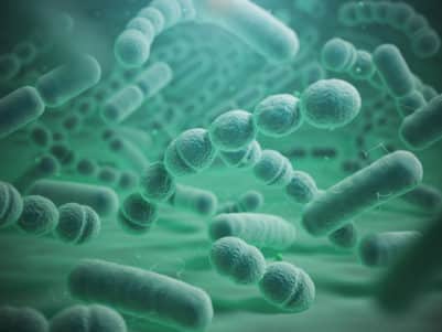 Microbiome brain and body