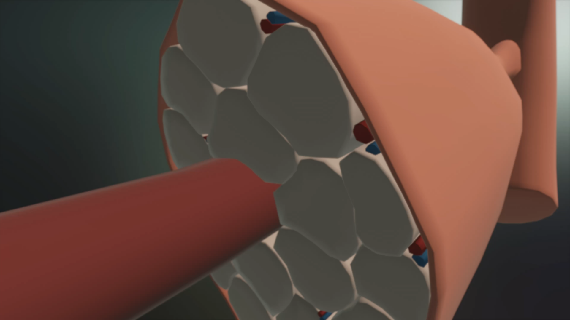 Muscle Damage