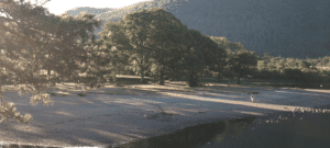 Spartan Training Running