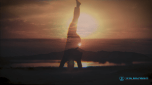 Shaolin training reality