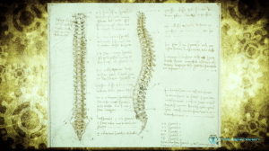 Leonardo Da Vinci Spine