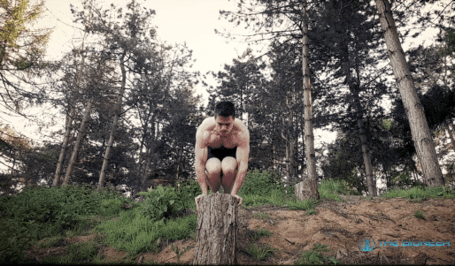 Isometric hold bodyweight training
