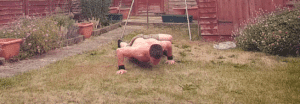 Spider-Man Crawls