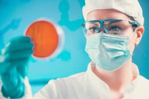 Microbiome diet health brain