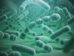 Microbiome brain and body