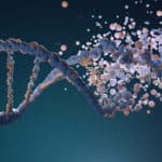 DNA permanent changes training