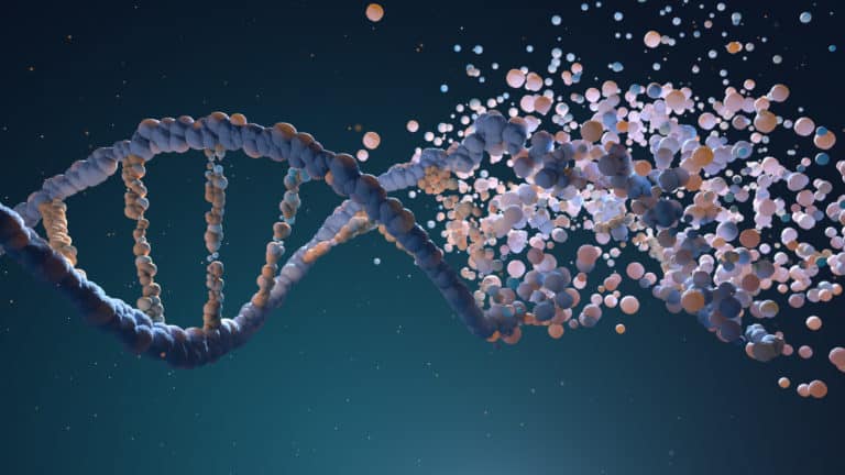 DNA permanent changes training