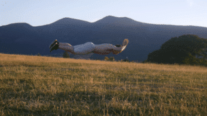 Plyometrics starting strength