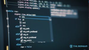 Brain and programming