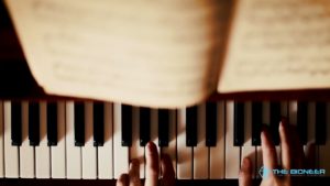 Musician's brain