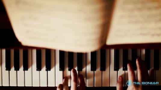 Musician's brain