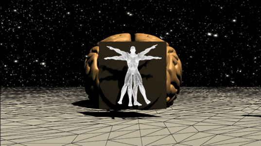 The mind-body connection