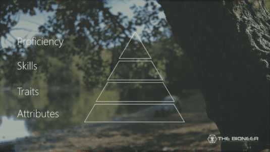 SuperFunctional Training ATSP Hierarchy