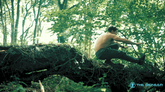 Movement training