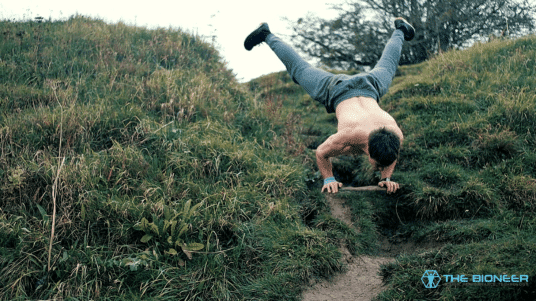 Specificity vs Interference in Training