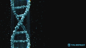 Genetic differences in metabolism