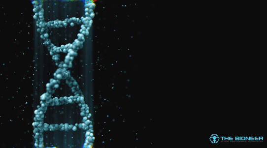 Genetic differences in metabolism