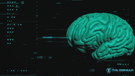 Contextual interference effect