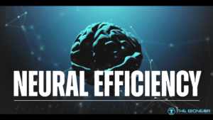 Nueral Efficiency