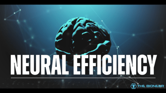 Nueral Efficiency