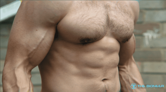 Muscle Differences