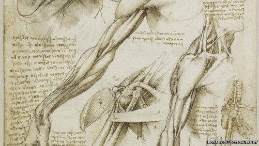 The Fascia as drawn by DaVinci