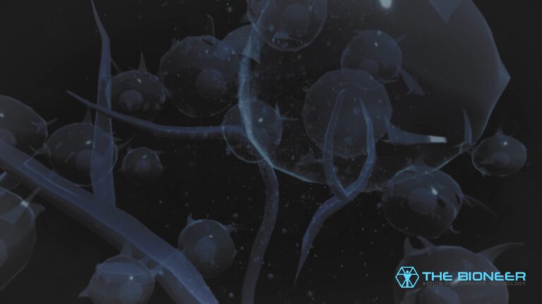 Cells in the body