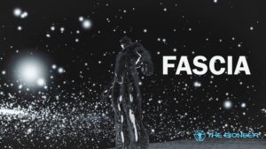 Human Fascia