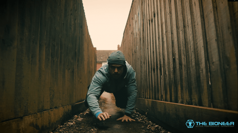 bear crawl movement