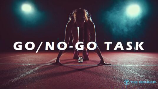 Go No-Go Task