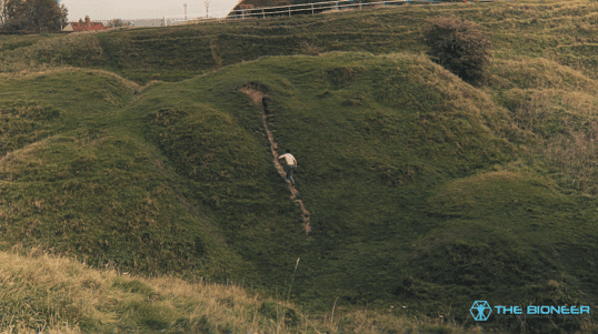 Trail running for knees