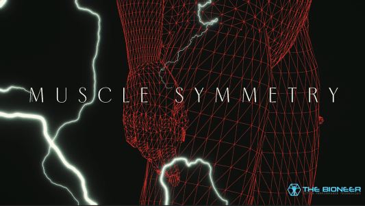 Muscle symmetry
