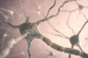 Lateralization of Brain in Ambidextrous Individuals