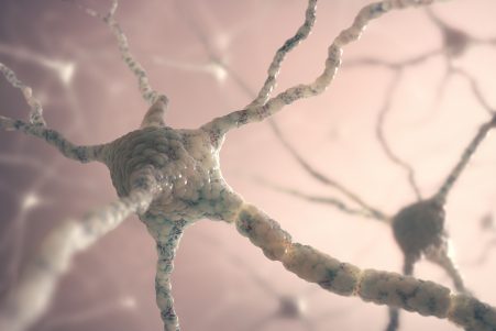 Lateralization of Brain in Ambidextrous Individuals
