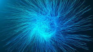 Connectome