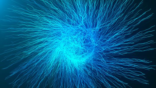 Connectome