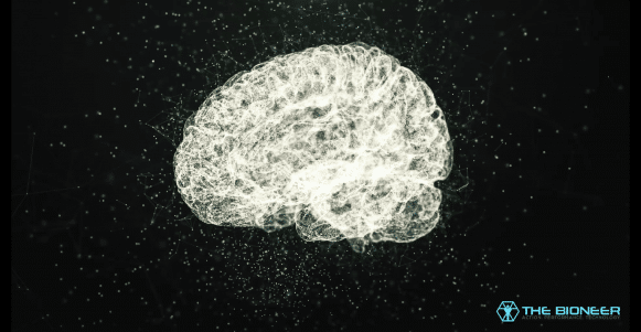 Deathstroke brain training