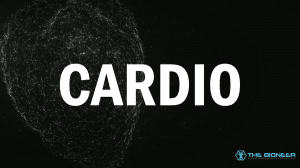 Cardio Muscle Plasticity