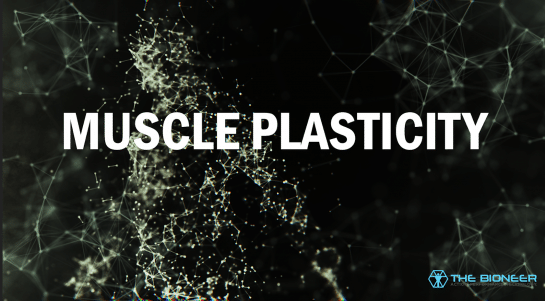 Muscle Plasticity
